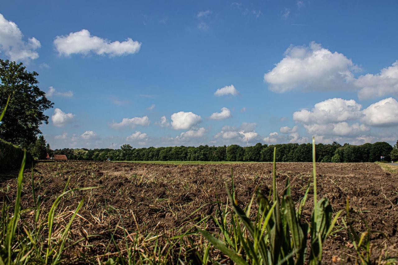 De Lammersdamhoeve Wingene 外观 照片