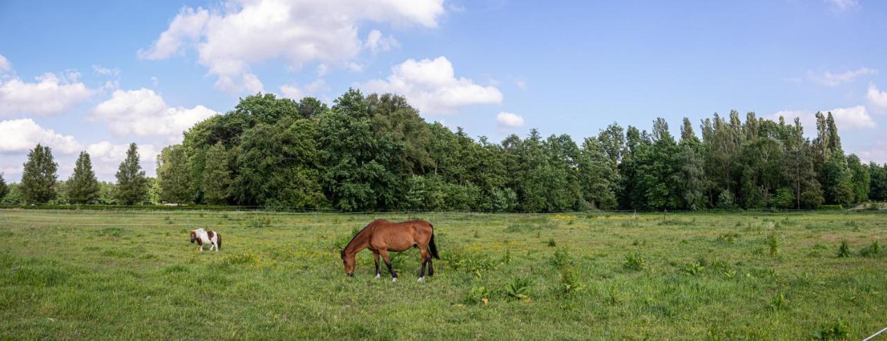 De Lammersdamhoeve Wingene 外观 照片